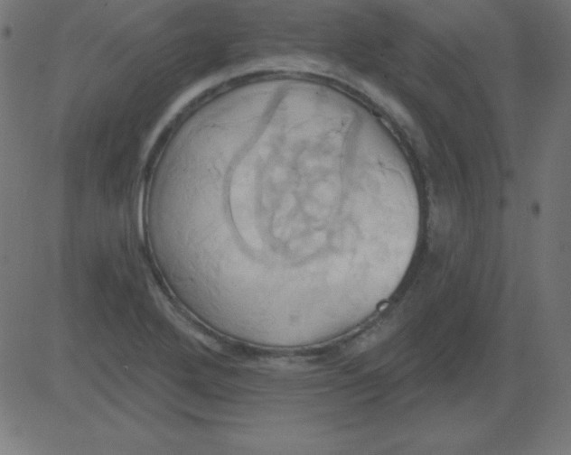 X0000081301272200702012300