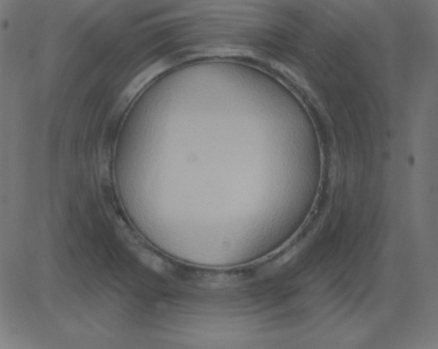 X0000081301273200702012300