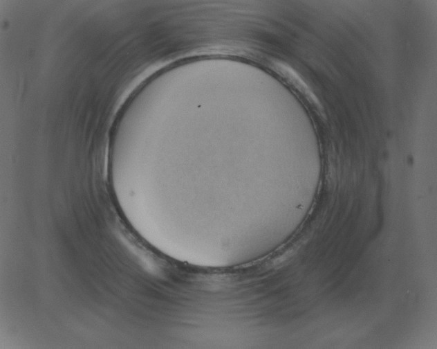 X0000081301276200702012300