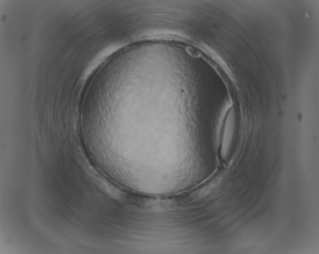 X0000081301277200702012300