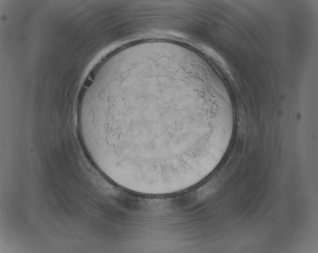 X0000081301280200702012300