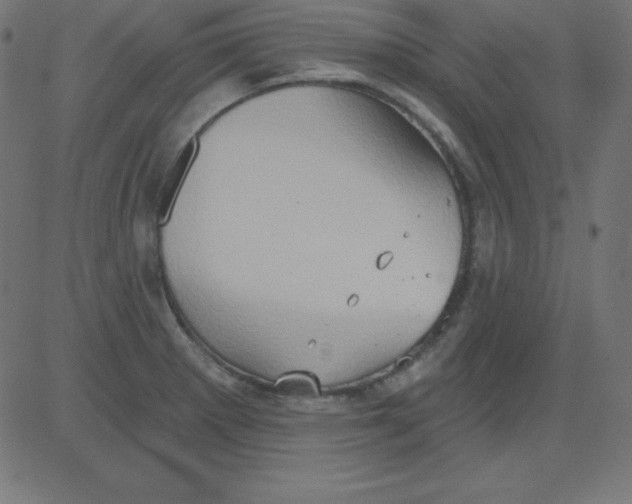 X0000081301281200702012300