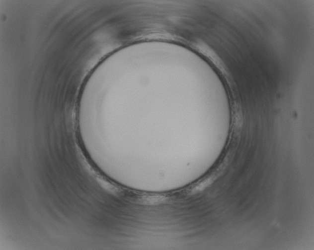 X0000081301282200702012300