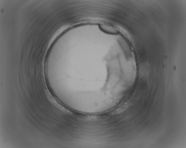 X0000081301283200702012300