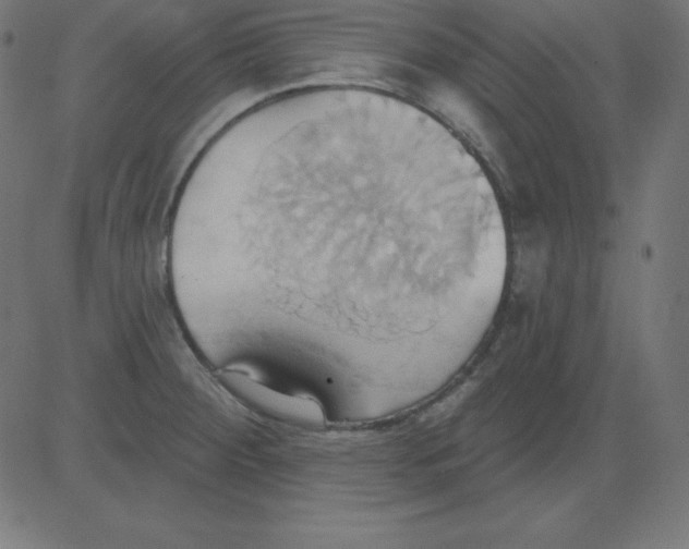 X0000081301284200702012300