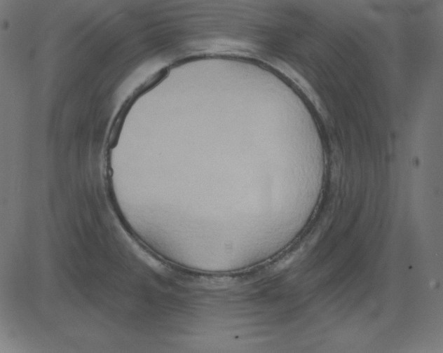 X0000081301285200702012300