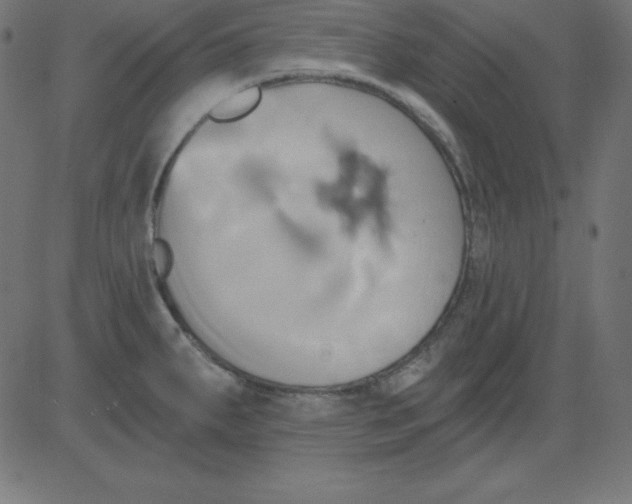 X0000081301287200702012300