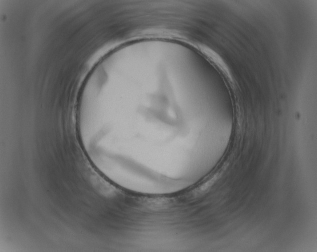 X0000081301288200702012300