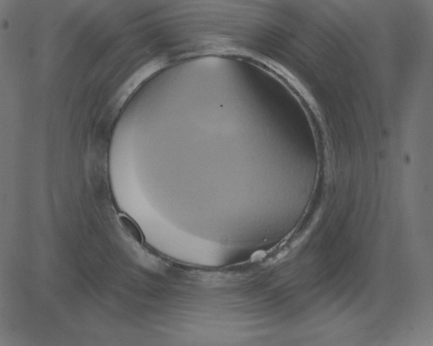 X0000081301289200702012300