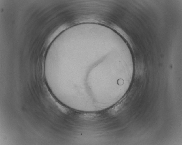 X0000081301290200702012300