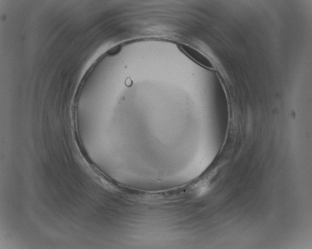 X0000081301291200702012300