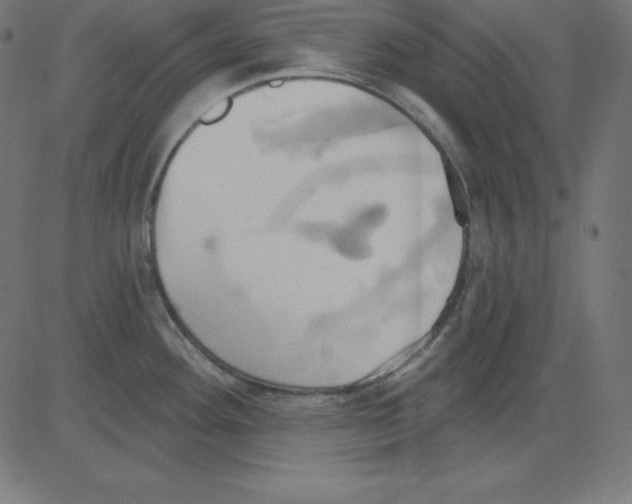 X0000081301292200702012300