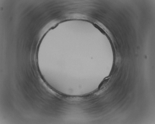 X0000081301293200702012300