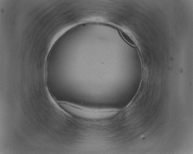 X0000081301295200702012300