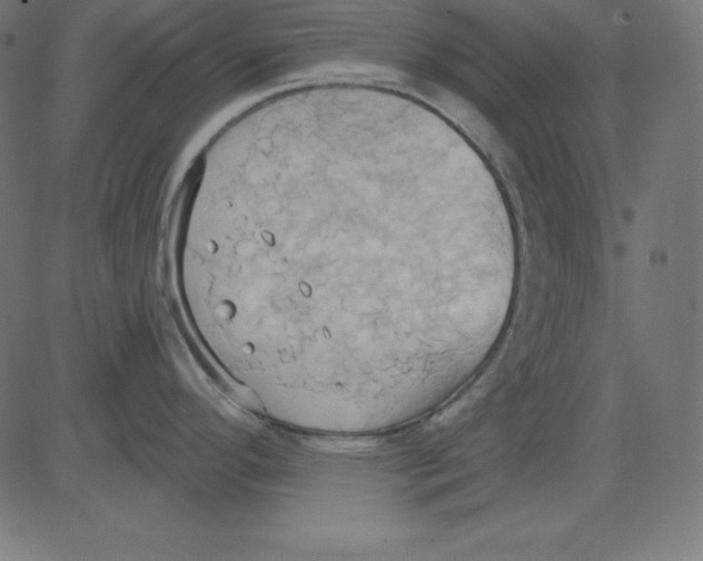 X0000081301296200702012300