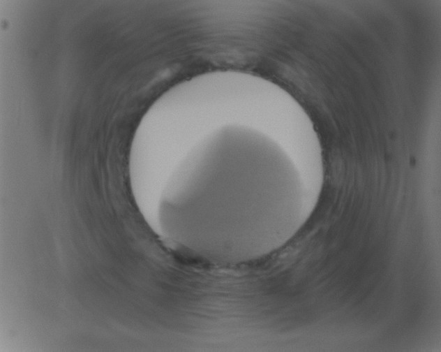 X0000081301297200702012259