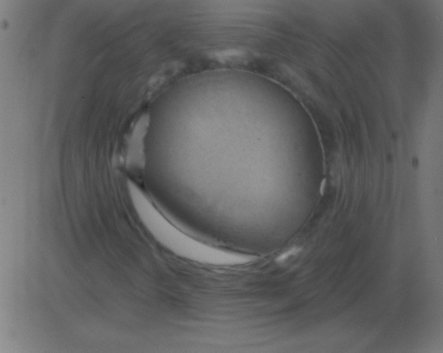 X0000081301298200702012259