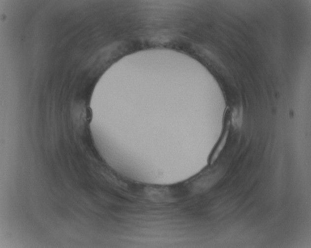 X0000081301299200702012259