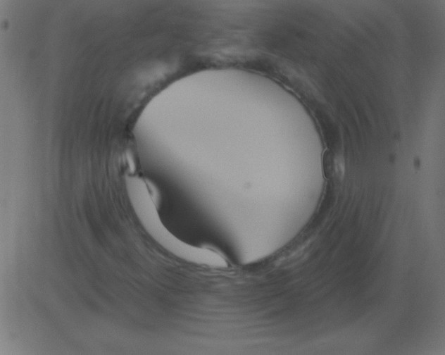 X0000081301300200702012259