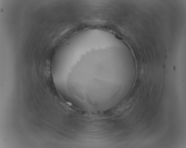 X0000081301301200702012259