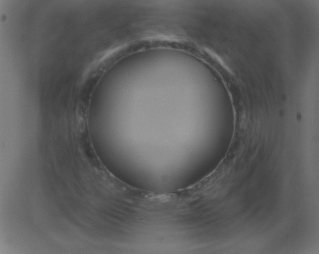 X0000081301303200702012259