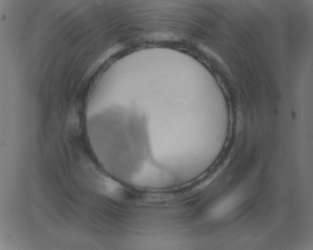 X0000081301305200702012259