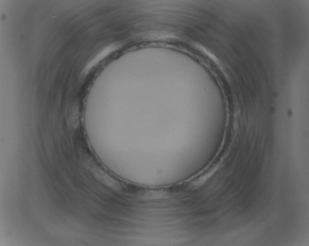 X0000081301306200702012259