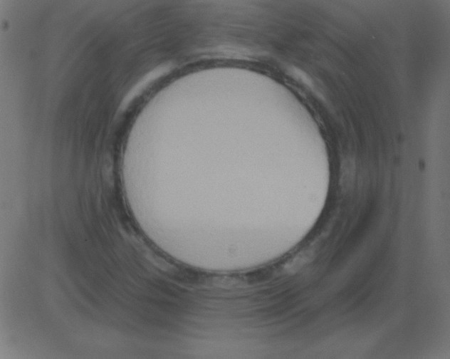 X0000081301307200702012259