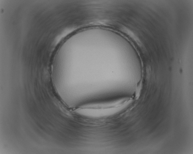 X0000081301308200702012259