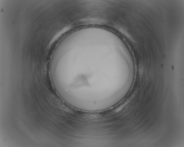 X0000081301309200702012259