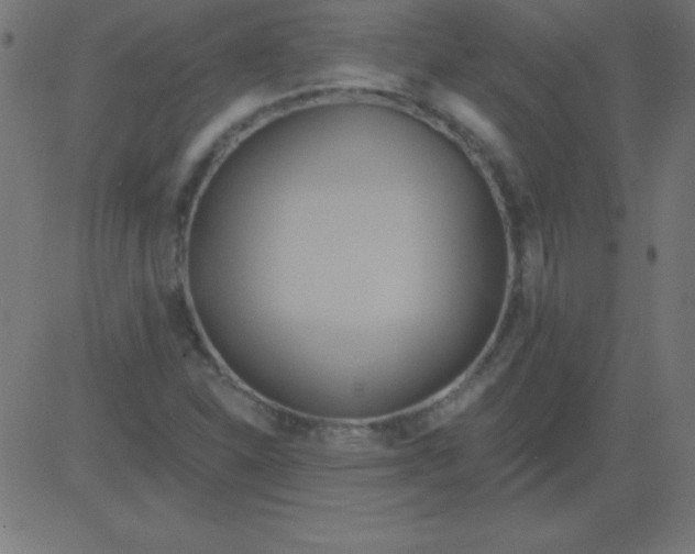 X0000081301310200702012259