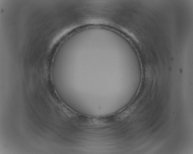 X0000081301311200702012259