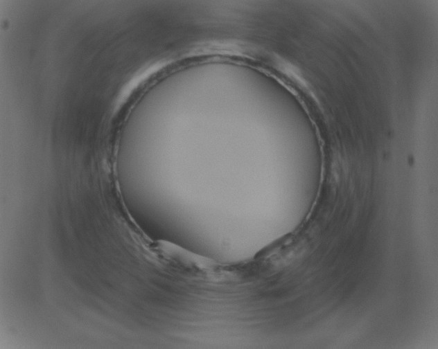 X0000081301312200702012259