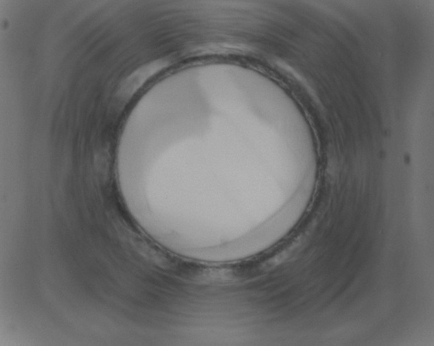 X0000081301313200702012259