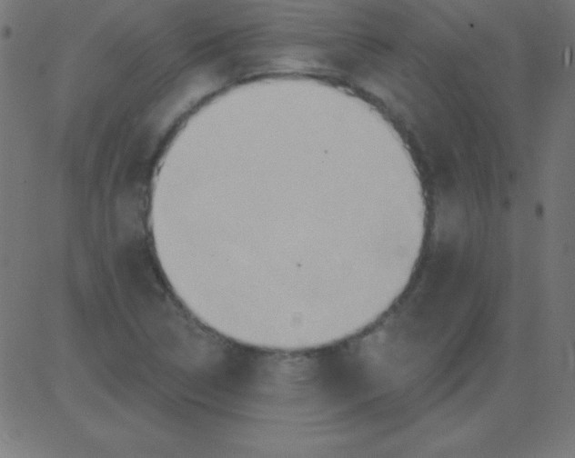 X0000081301314200702012259