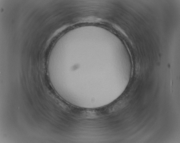 X0000081301315200702012259