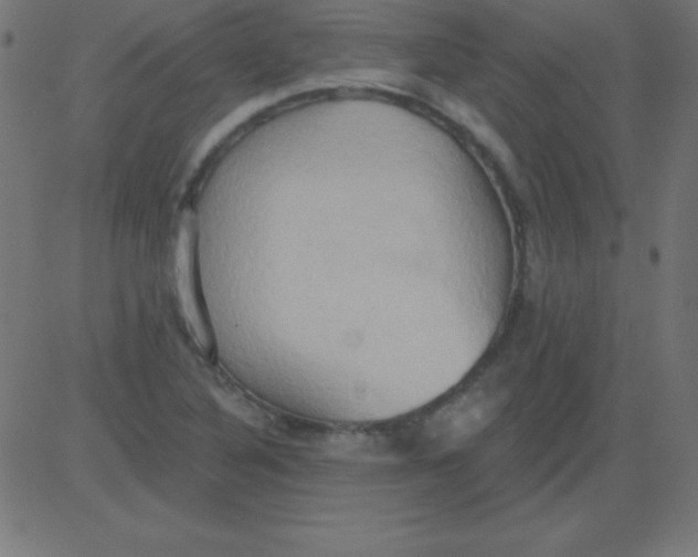 X0000081301316200702012259