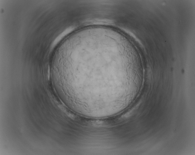 X0000081301317200702012259