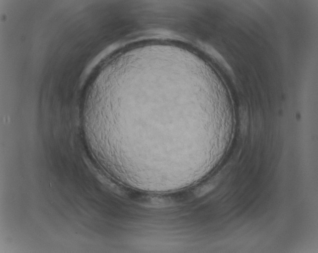 X0000081301318200702012259