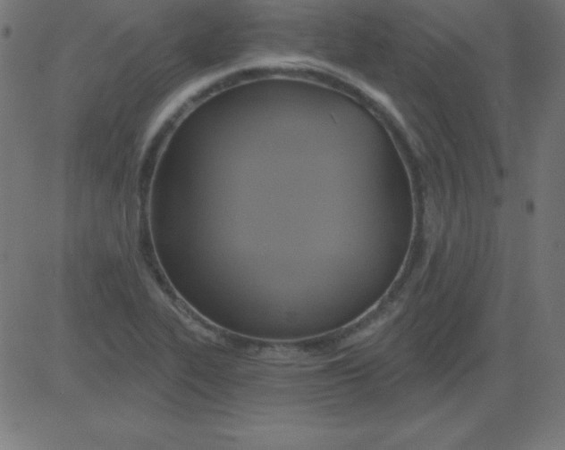 X0000081301319200702012259