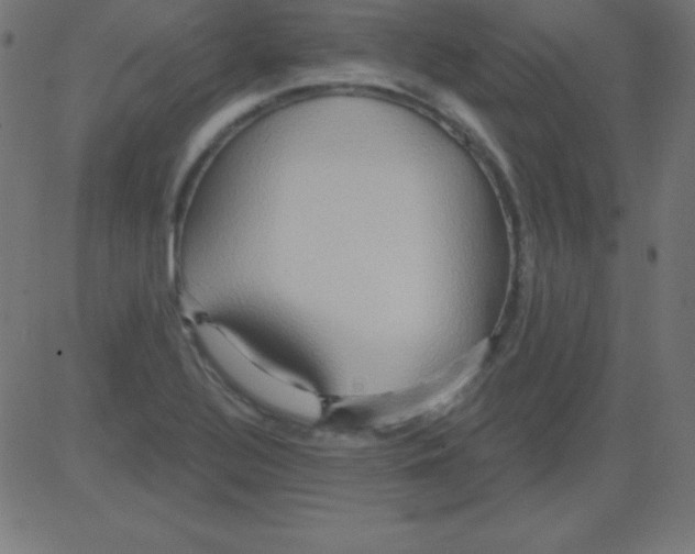 X0000081301320200702012259