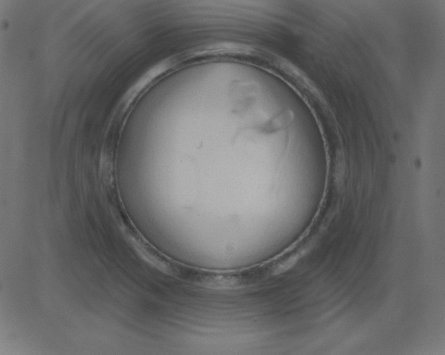 X0000081301321200702012259