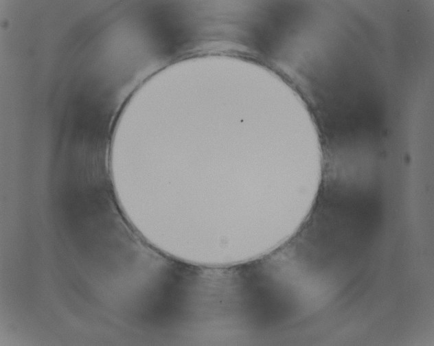 X0000081301322200702012259