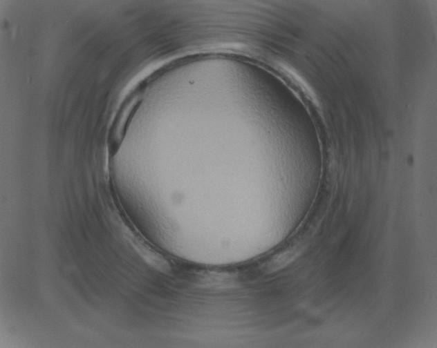 X0000081301324200702012259