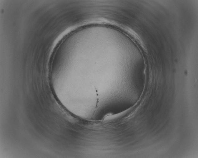 X0000081301326200702012259