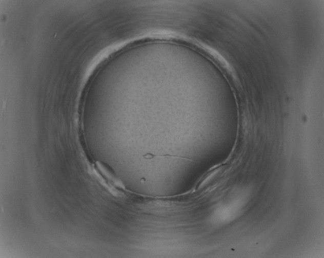 X0000081301327200702012259