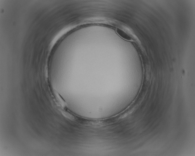 X0000081301328200702012259