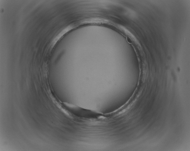 X0000081301329200702012259