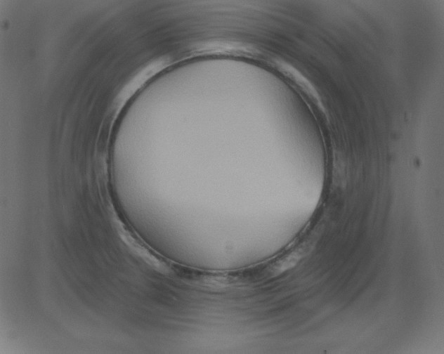 X0000081301330200702012259