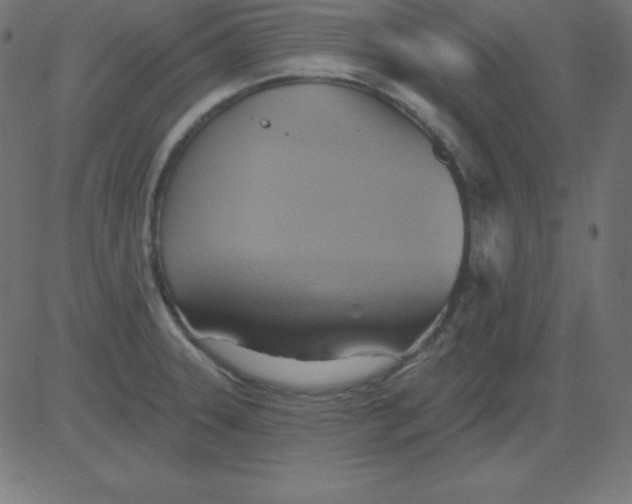 X0000081301331200702012259